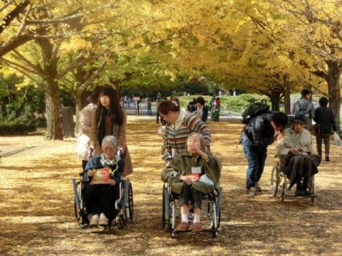 秋の外出支援（昭和記念公園）